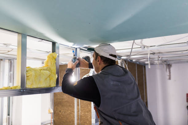 Insulation Repair Services in Terre Du Lac, MO