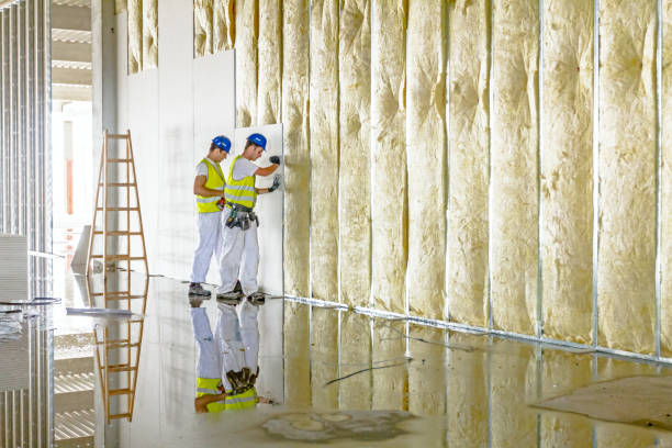 Best Spray Foam Insulation  in Terre Du Lac, MO